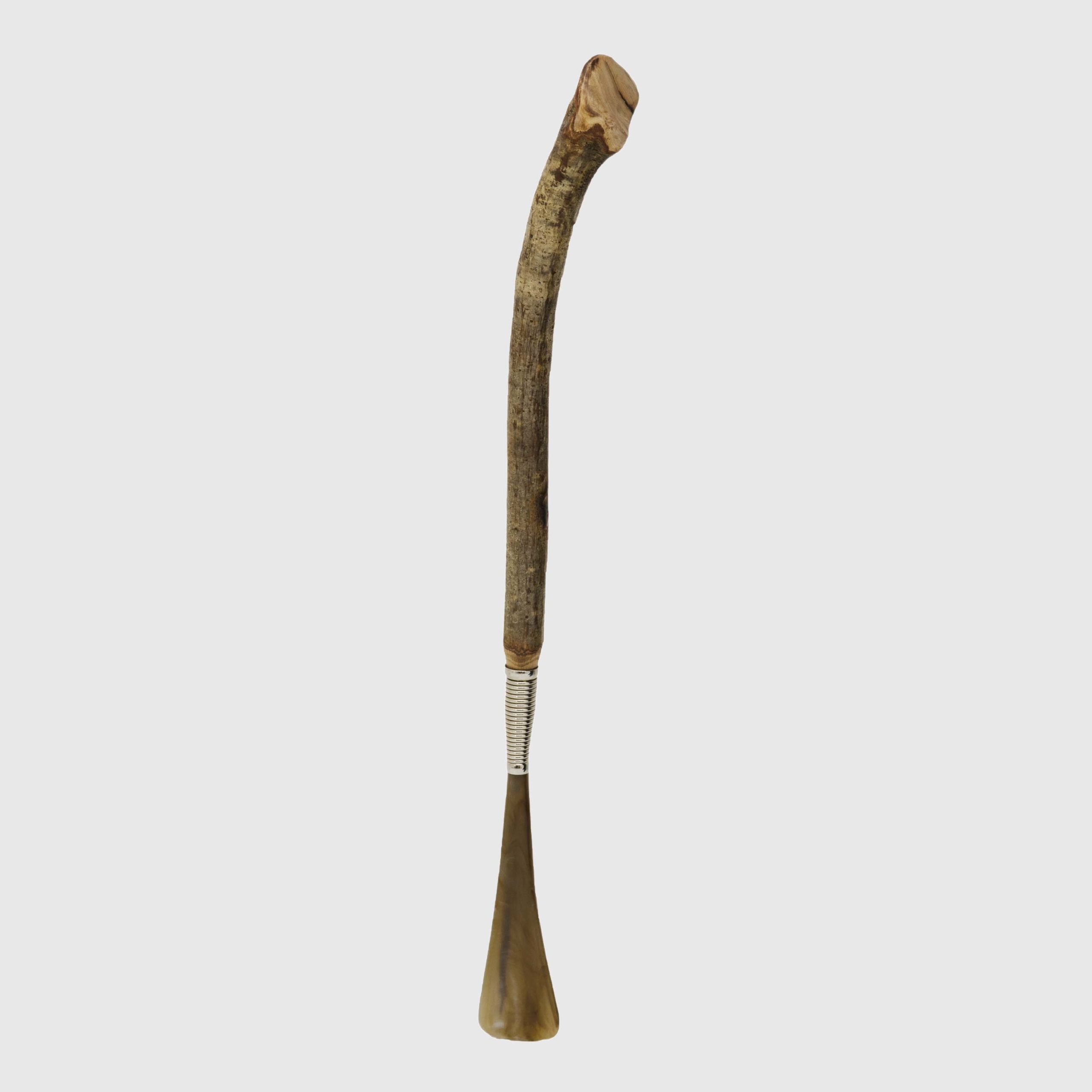Rare Shoehorn in Elm Wood